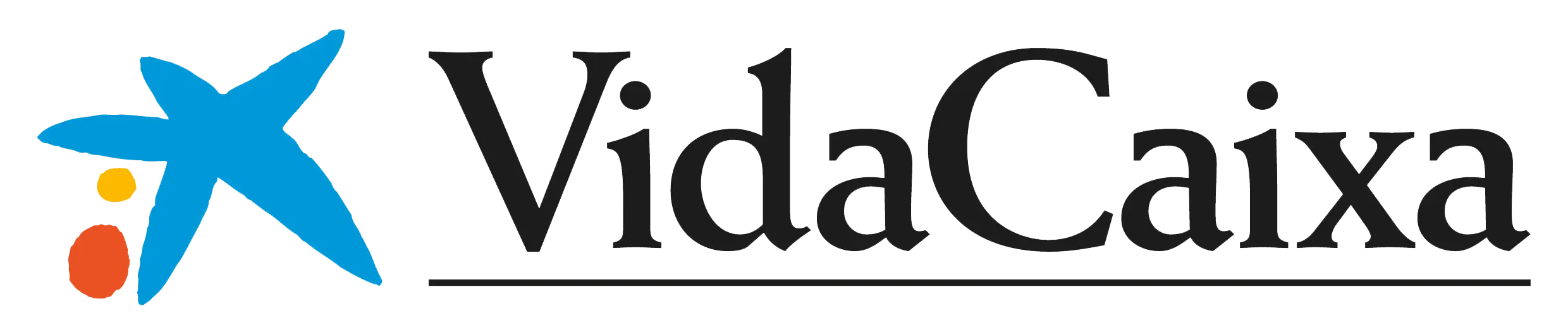 vidacaixa-logo.webp